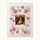 Birthday Blooms Forever - Frame Your Memories
