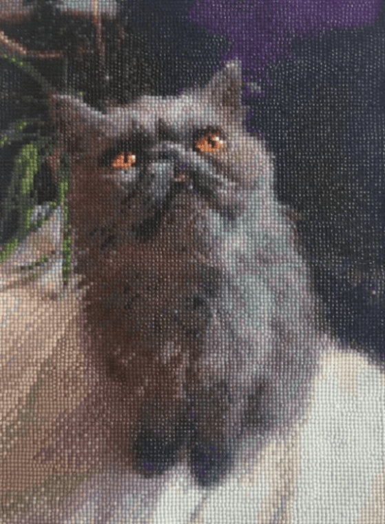 Diamond Painting - Judy Paint