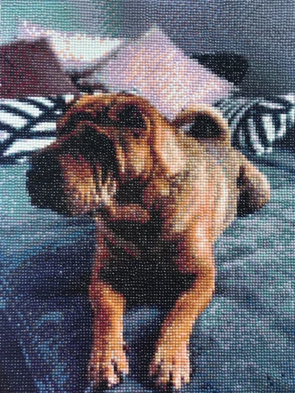 Diamond Painting - Judy Paint