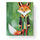 Friendly Fox Painting - Kids