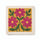 Magenta Cosmos Garden – Square Edition