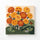 Marigold Cluster - Square Edition