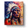 Native Chief Portrait - USA