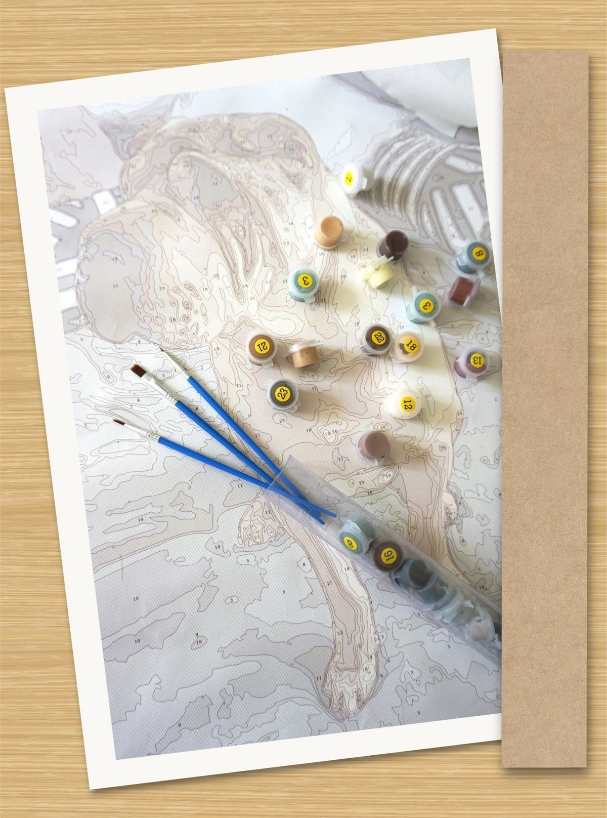 Paint your Photo - Custom Paint by Number - Judy Paint