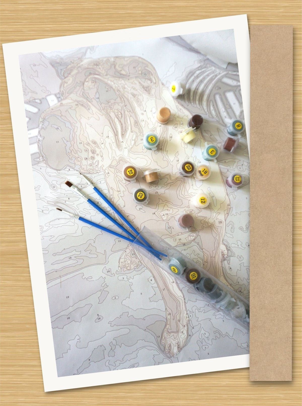 Painting Value Bundle - Judy Paint