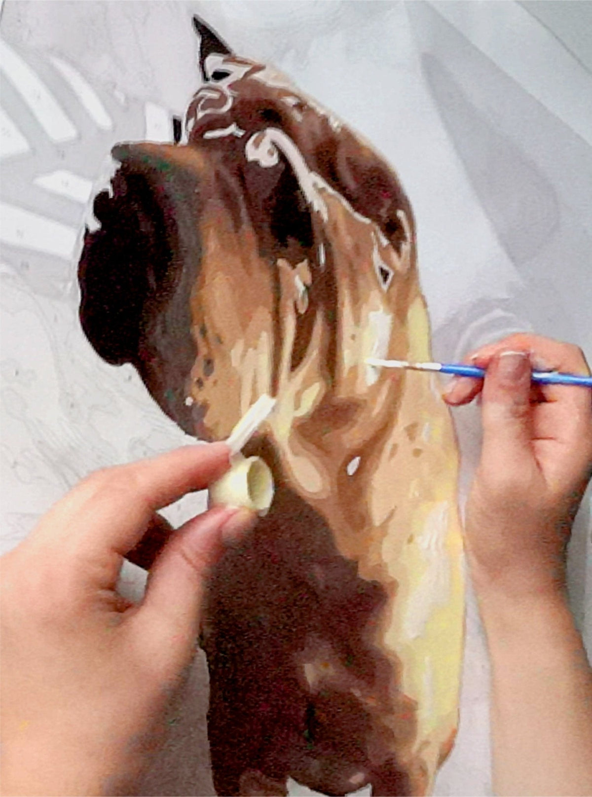 Painting VIP Bundle - Judy Paint