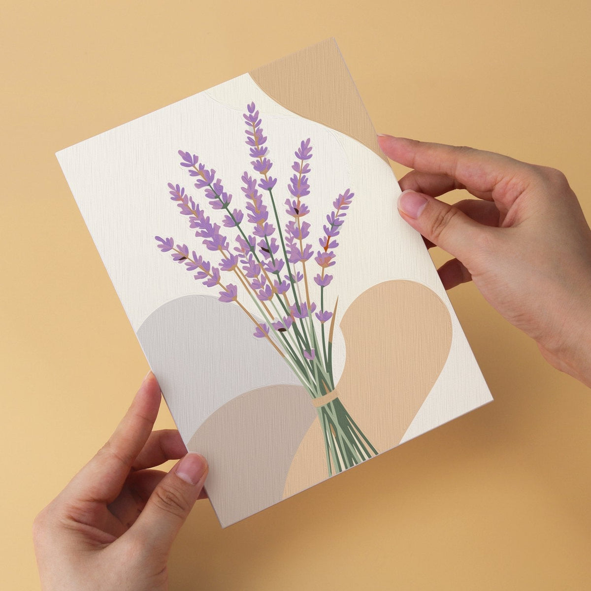 Soft Botanicals – Set of 6 Mini Paintings - Judy Paint