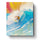 Sunset Surfing Adventure - USA