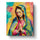Virgen de Guadalupe