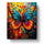 Vivid Butterfly Dreams - Meditation