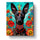 Xoloitzcuintli Dog